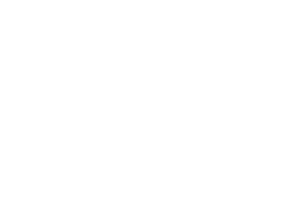 Park site as a survey wireframe